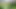 Training Zero Anal Public Pegging in my Garden Outdoors with my Huge Strapon