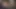 Orta yaşlı seksi kadın kaygan yarak emiyor