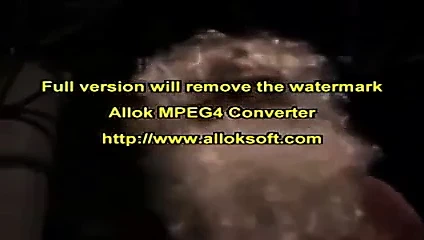 Tanrıça palyaço balığı devi