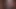 siyah kıllı civcivler 4