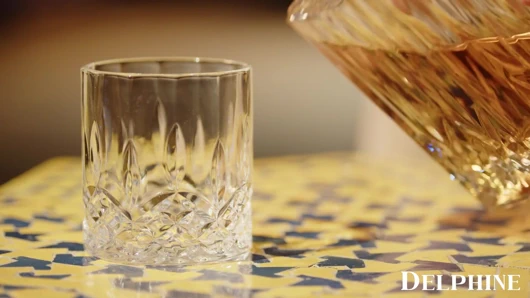 Delphine films - latin güzel Vanessa Sky yüksek profilli müşterisinden sikişiyor