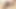 Gözlüklü ve file çoraplı seksi sürtük iki büyük yarakla sert sikiliyor