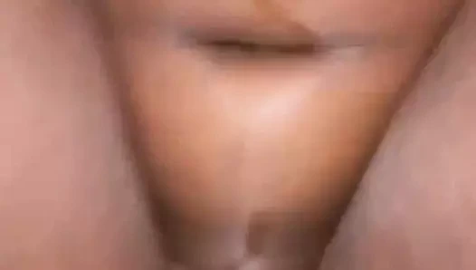 Abanoz ıslak şişman sulu kedi piped