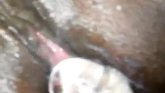 William oynamak istediğinde