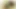 Dört çarpıcı porno yıldızları lezbiyen seks için bir araya geliyor