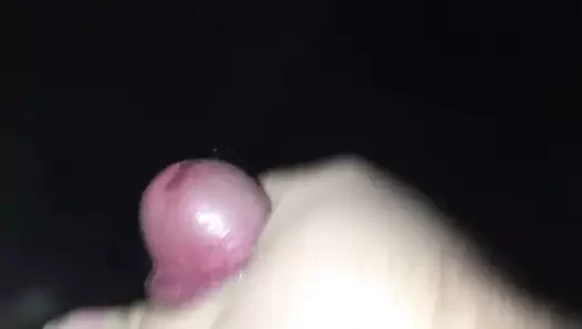 Alman ayı kesilmiş etini masturbasyon yapıyor