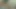 Sevimli karma eğitim yapan umut harper parmak kahrolası ona sıkı kedi