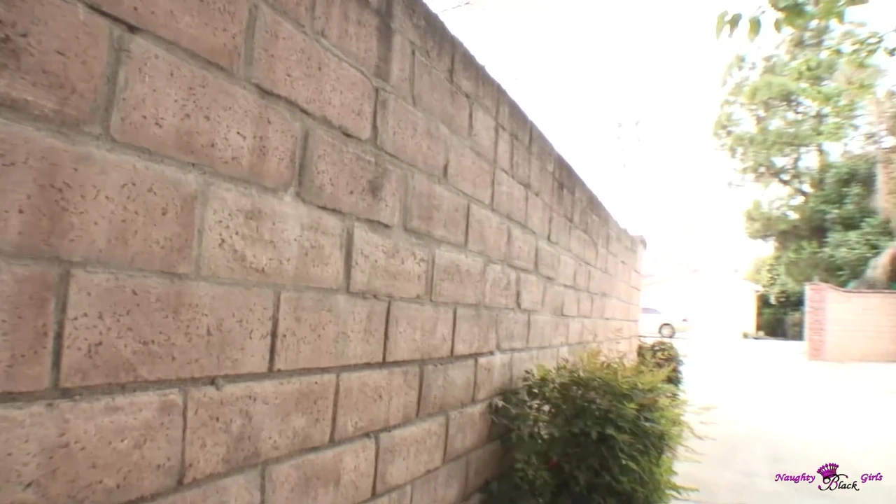 गोरी रंडी कुत्ते शैली में चुदाई करने से पहले अपने चेहरे को बड़े काले लंड से भरती है