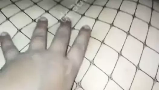 Ölü tilki çift bengalce boudi