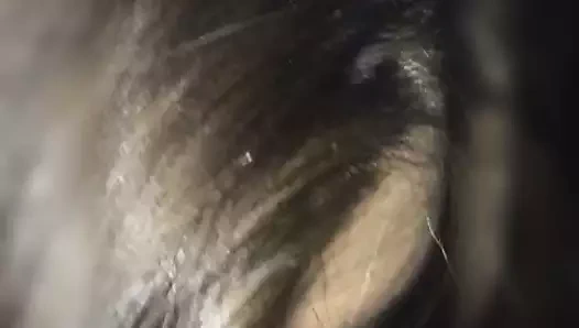 Lulu badgirl (Almanya) auf king büyük yarağım