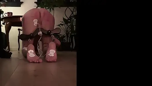 Sakinleştirici, elektronik müzik ve aşağılayıcı bir tonla son derece ev yapımı bir video; Nasıl zorlandığını duyun!