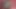 Amatör porno yıldızı Riley Jensen seks oyuncağına binmeyi seviyor