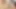 iki Asya ladyboys zevk bir iyi oral seks kadar o boşalan
