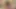 Esmer sofie marie seduces üvey kardeş için tabu kahrolası