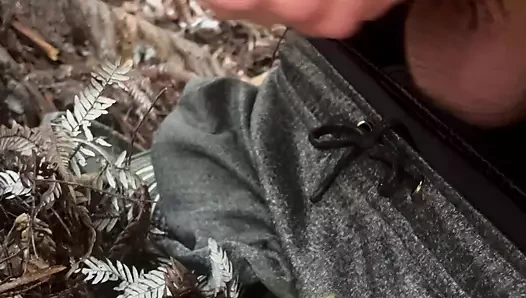 Çalı mastürbasyonu