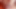 My voluptuous vulva