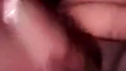 Patlıcan vs büyük kedi