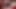 Vends-ta-culotte - seksi amatör kadın evde vibratörle mastürbasyon yapıyor