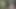 Fuck and Suck BIG Tits Stranger in Woods