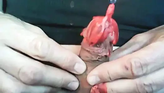 Tornavida ile ses çıkarma