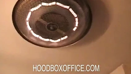 Deli gibi şişman siyah kedi satan genç kaçak