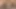 Chickpass - logan genç riley'den bir oral seks alır
