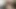 Phallus genişletiyor ve sözleşme yapıyor, sonra kişi bir köşede durması için yapılıyor ve aynı zamanda eğilmek için yapılırken nüfuz ediliyor