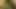 Jblack ve ladycoco köpek hoş geldiniz geri 2