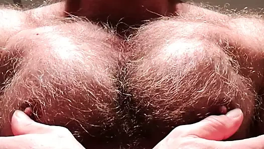 Büyük tüylü pecs sever misin? senin için biraz aldım... :-)