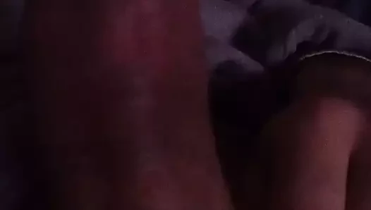 Büyük beyaz horoz İtalyan