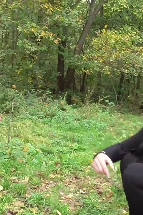 Köle ormanda parçalıyor