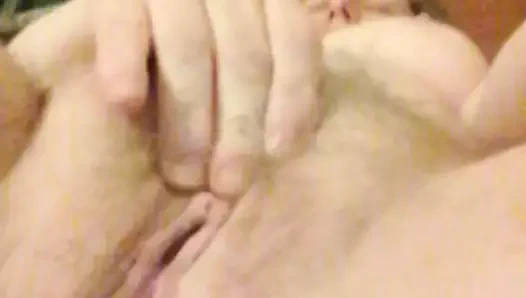 Brenda adalet sulu kedi