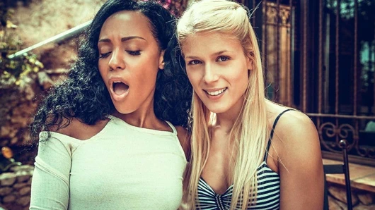 Tatlı kedi noe sütün yüzüne oturur