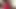Büyük götlü zenci güzellik ırklararası porno çekiyor