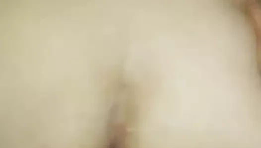 Bella köpek stilini seviyor