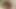 Düzgün vücutlu milf trisha zevk oluyor aşağı üzerinde bir sert horoz