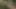 Büyük memeli lezbiyen polisler külotlu çoraplı seks oyuncaklarıyla sikiliyor