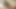 Güzel ladyboy gösterileri göt ve squirts boşalmak içine ona gfs ağız