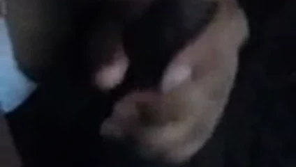 Mexican kardeş inlaw berbat bbc