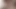 Marica hase teaser 7
