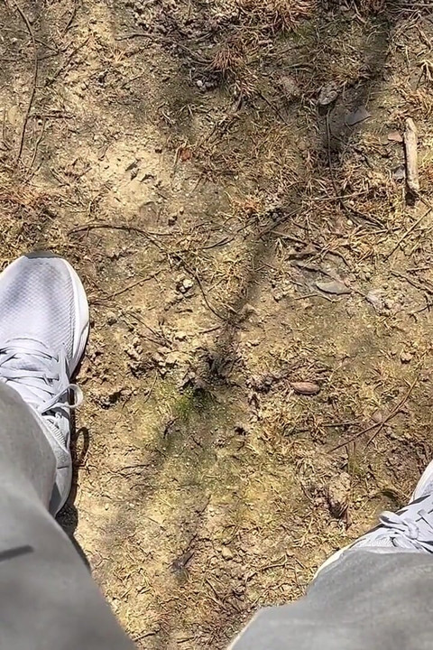 Piss Outdoors ve daha fazla derleme