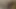 İki güzel genç lezbiyen seks oyuncağıyla sikişiyor
