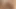 Vahşi eyersiz kahrolası sıcak tranny