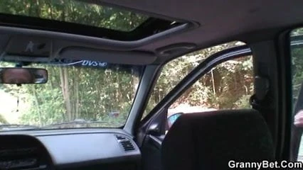 Yaşlıyı yoldan alır