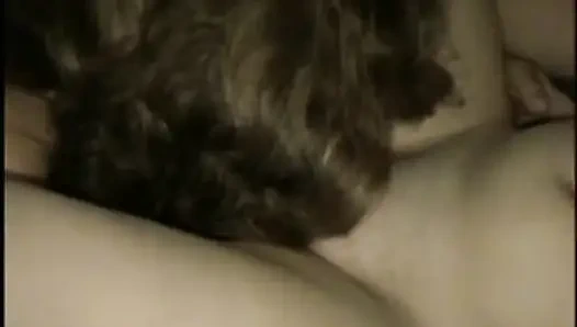 Amatör ev yapımı üçlü grup seks