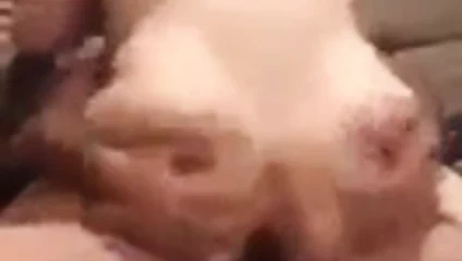 yarrak yiyorum askim