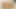Southernstrokes twink greg noll raw ırkları eşcinsel andy scott