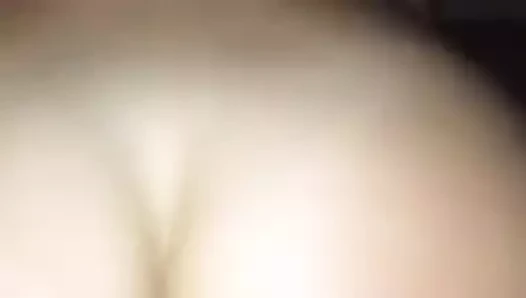 Beyaz kedi kahrolası