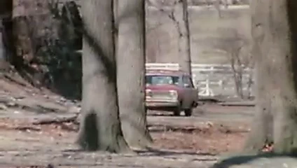 Bir amerikan oyun kızı 1975 (aldatılan, dped) mfm