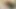 Seksi kız iki yarak deliklerini sikip boşalmak için eğiliyor